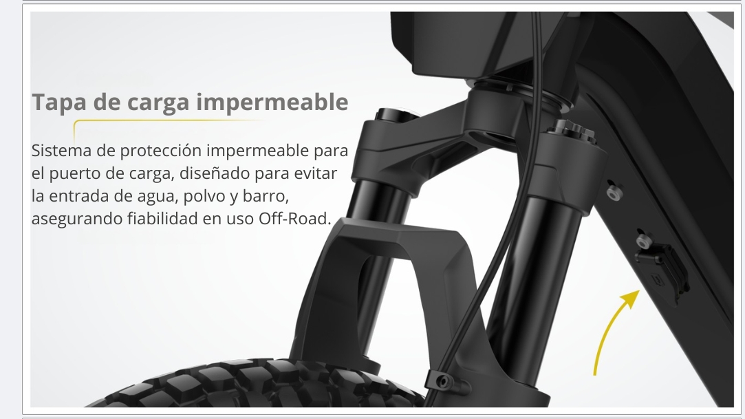 Características Bicicleta eléctrica RFN ZIP 20